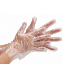 Deli Gloves (100 Pack)
